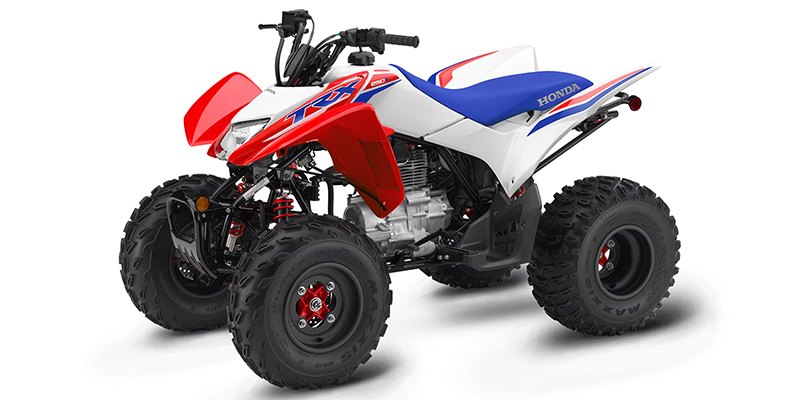 2025 Honda TRX250X sport ATV